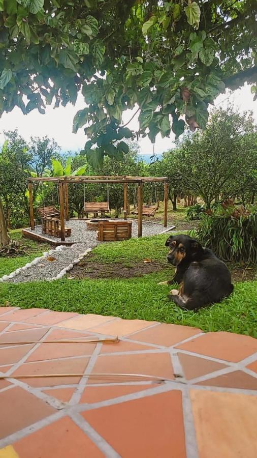 Finca Hotel La Bonita By La Macorina Quimbaya Zewnętrze zdjęcie